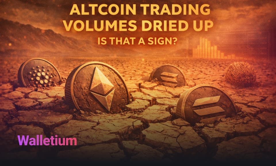 Altcoin-Handelsvolumen Trocknen Aus - Was Es Bedeutet