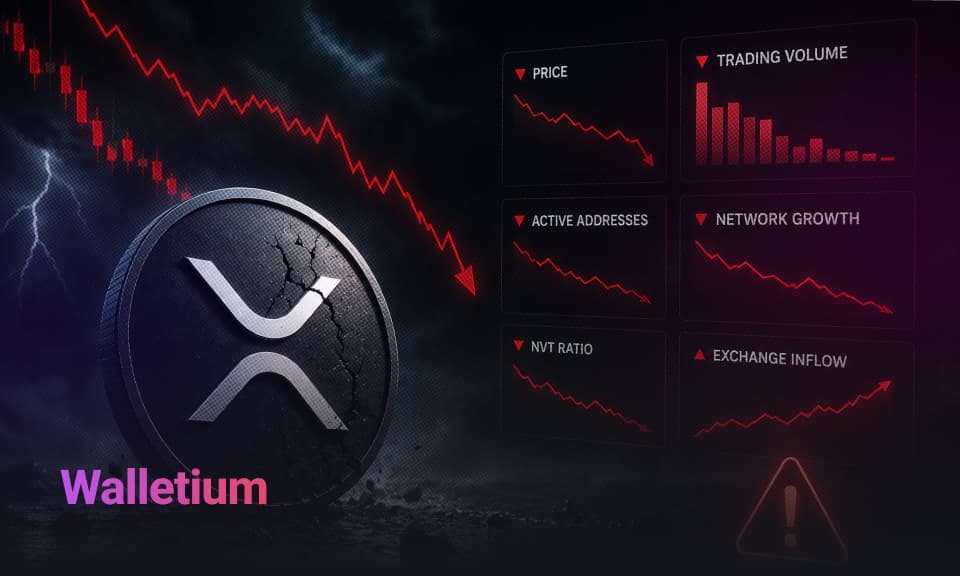 What's Wrong With XRP? Key Metrics Turn Bearish