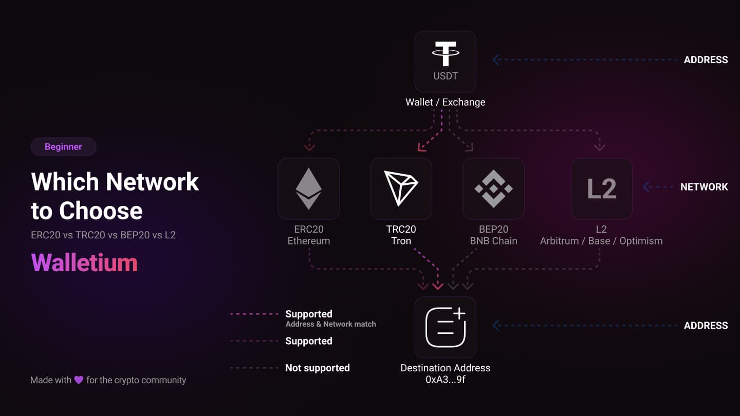 Die richtige Netzwerkwahl für USDT- und USDC-Transfers