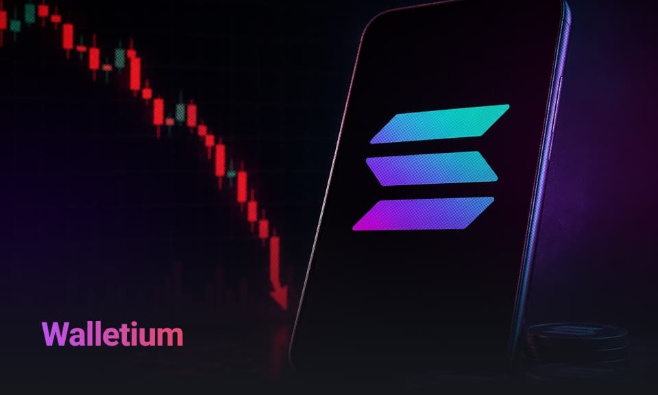 Attention on Solana: A Potential Turnaround Ahead